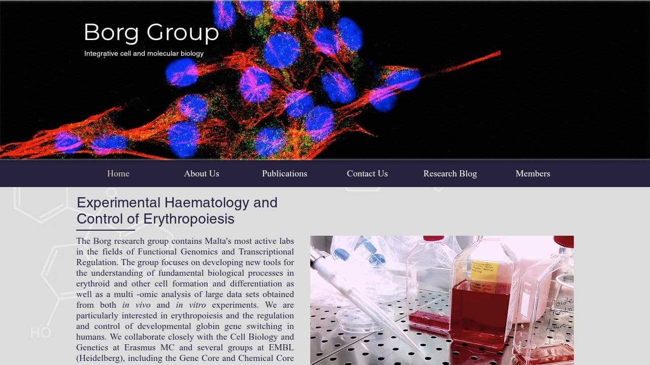 Borg Group Research Platform